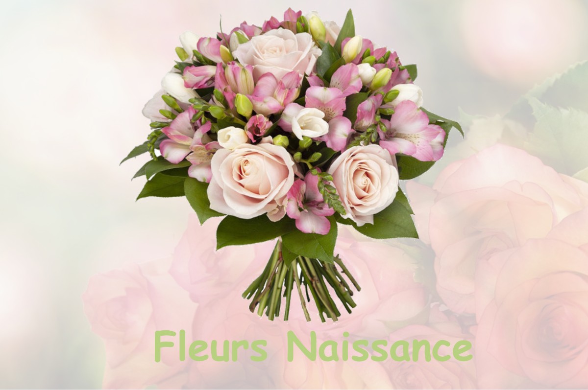 fleurs naissance LAVELANET-DE-COMMINGES