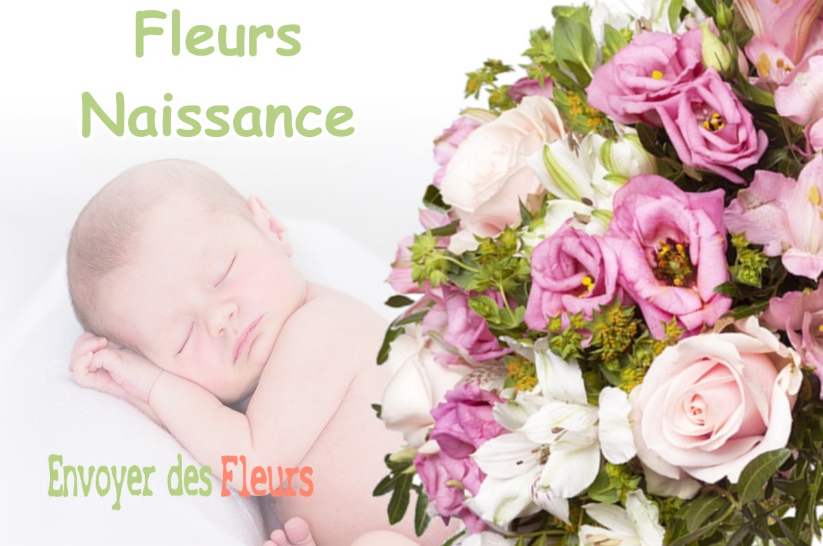 lIVRAISON FLEURS NAISSANCE à LAVELANET-DE-COMMINGES